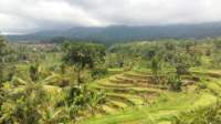 _121037_small.jpg