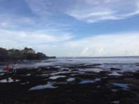 img20160216wa0002_small.jpg