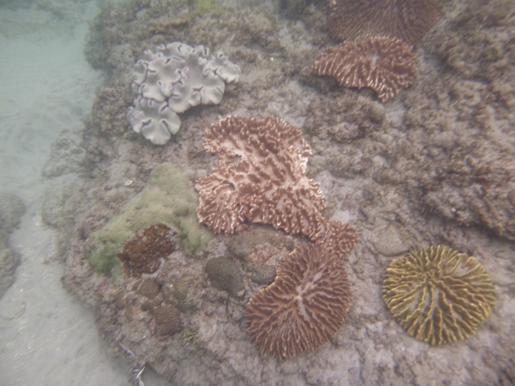 p1000126.jpg