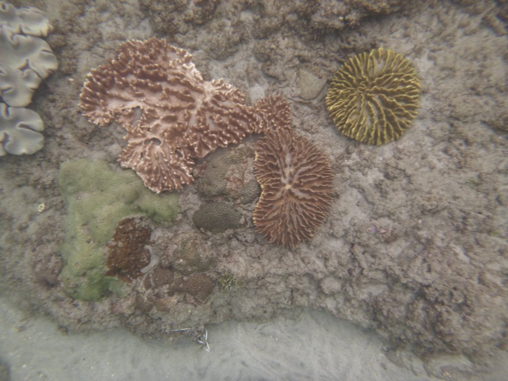 p1000127.jpg