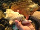 img_6043_small.jpg