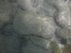 p1000265_small.jpg