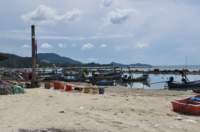 dsc_0074_small.jpg
