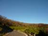 themarksfromtheforestfire2013_small.jpg