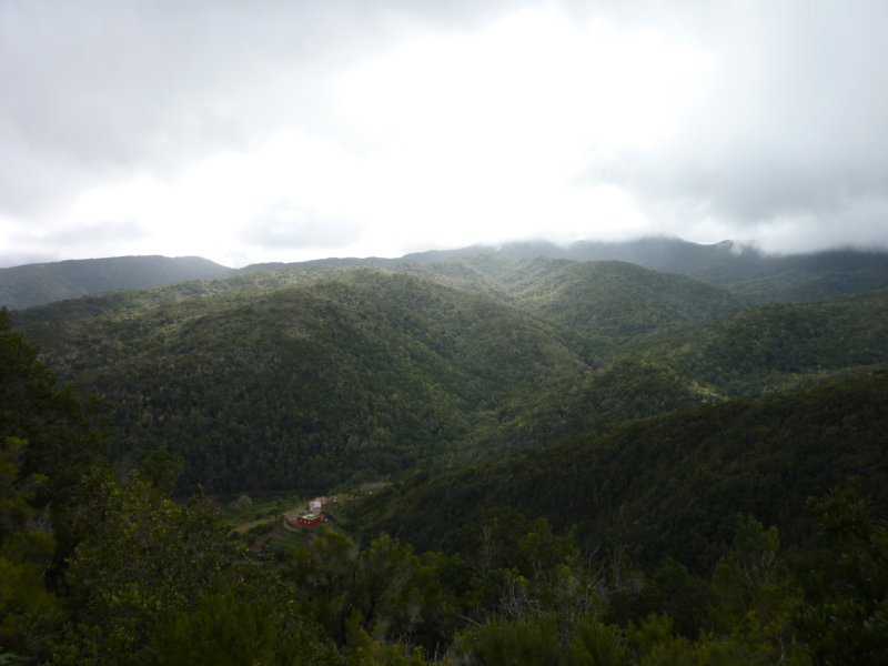 viewonthegomeracloudforest.jpg