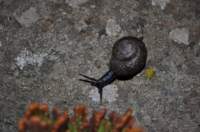 dsc_0176_small.jpg