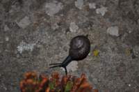 dsc_0177_small.jpg