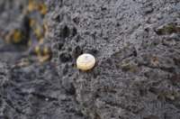 dsc_0325_small.jpg