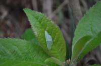 dsc_0621_small.jpg