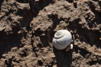 dsc_0700_small.jpg