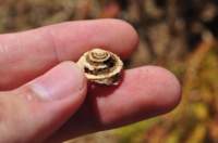 dsc_0719_small.jpg