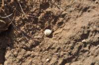 dsc_0747_small.jpg