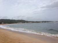 img_0039_small.jpg