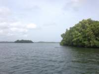 img_0100_small.jpg