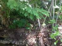 img_0495_small.jpg